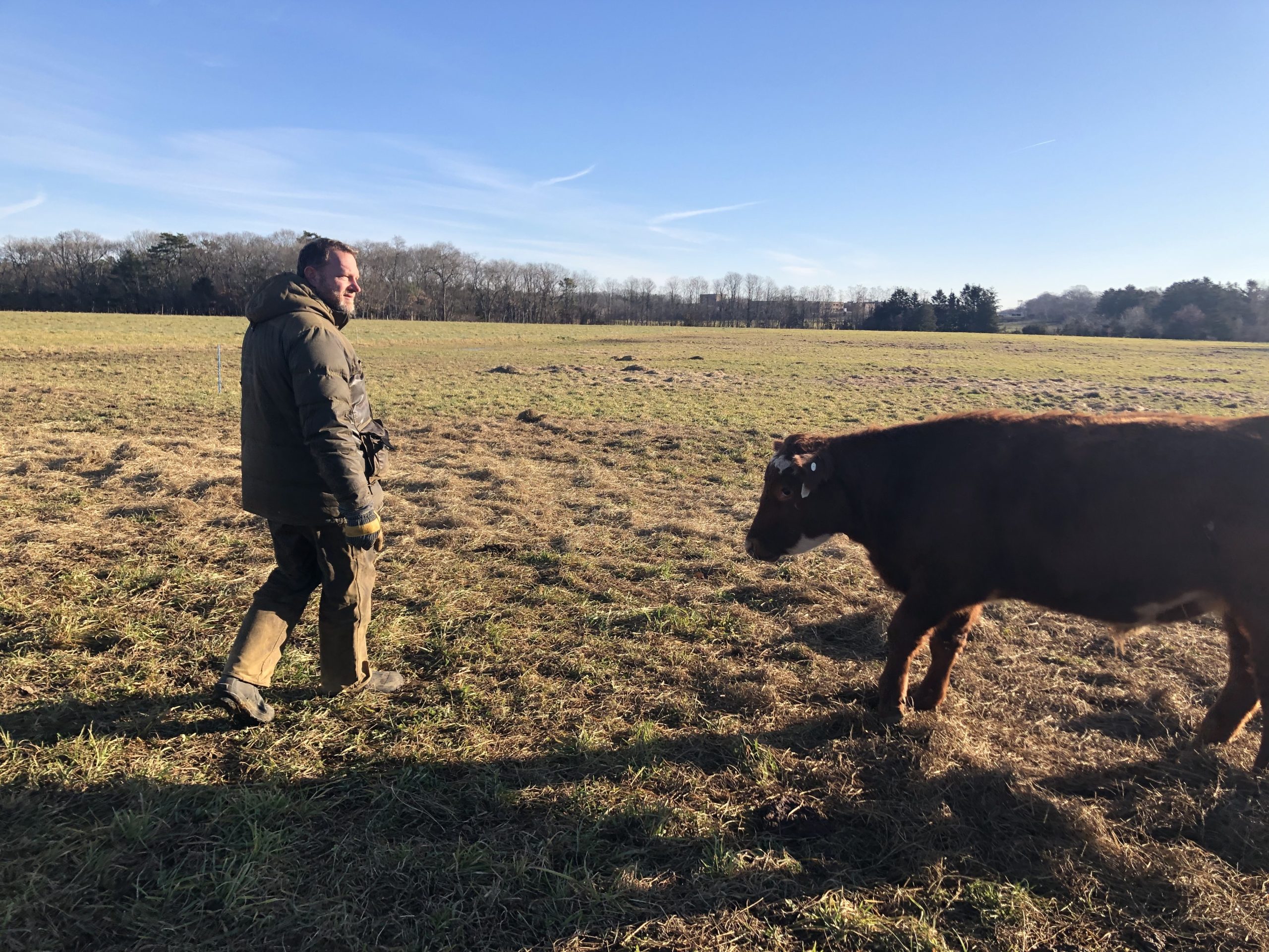 Steven Skrenta of Acabonac Farms says, “Cows like being outside in the Winter.” Label should say “Grass Fed” and “Pasture Finished” or “100% Grass Fed” to legally guarantee that the cow didn’t spend the majority of its life in a feedlot eating unhealthy cattle feed.