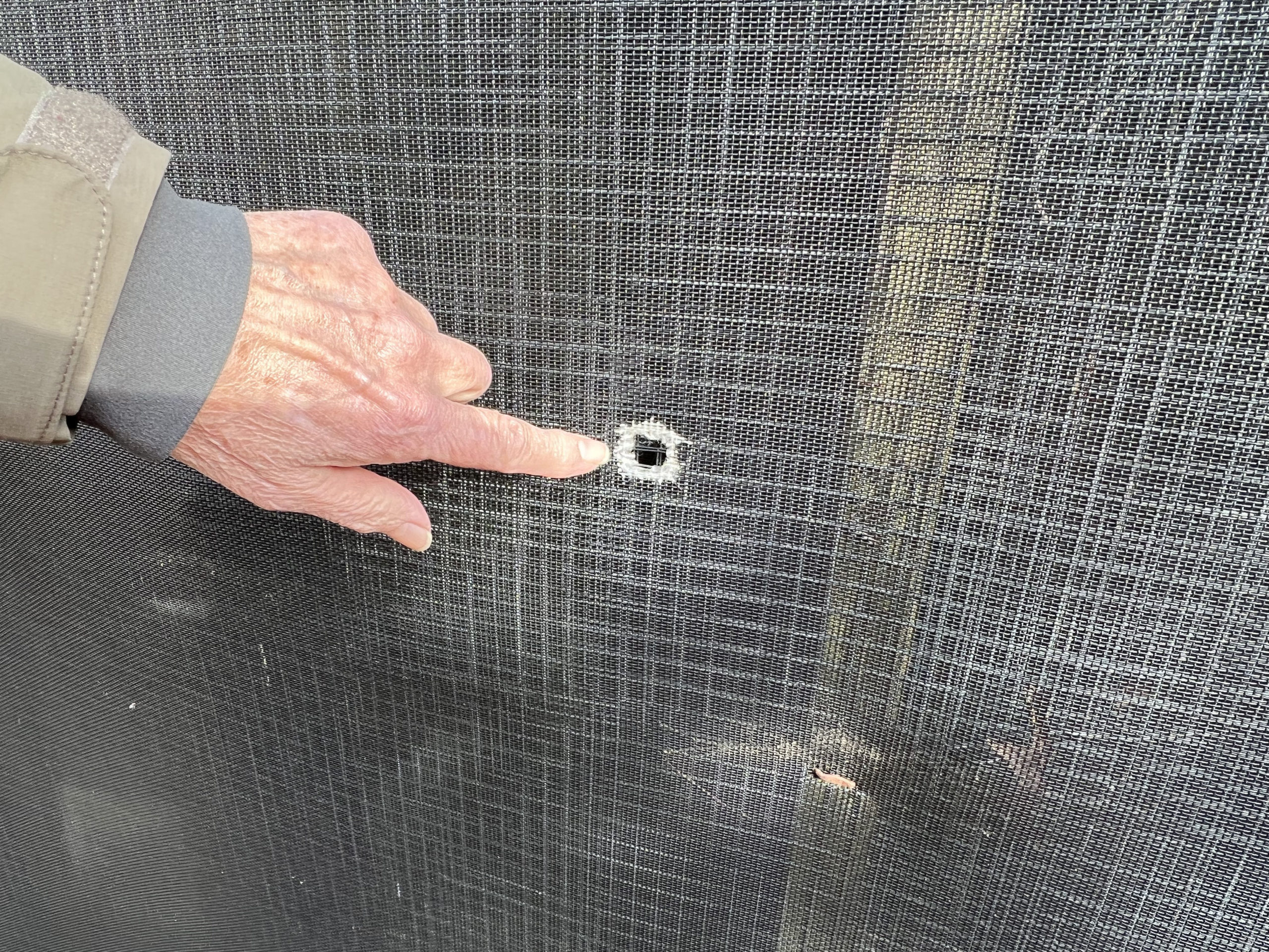 Evelyn Alexander Wildlife Rescue Center Executive Director Ginnie Frati points to the bullet holes that passed through one of the animal enclosures.    DANA SHAW