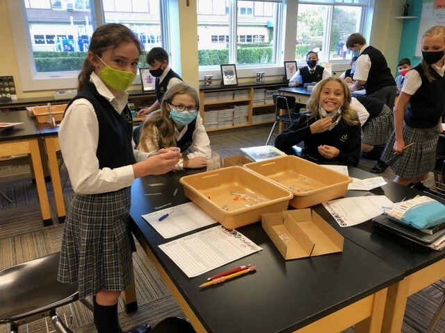 Sixth graders at Our Lady of the Hamptons School prepare for a science lab lesson.