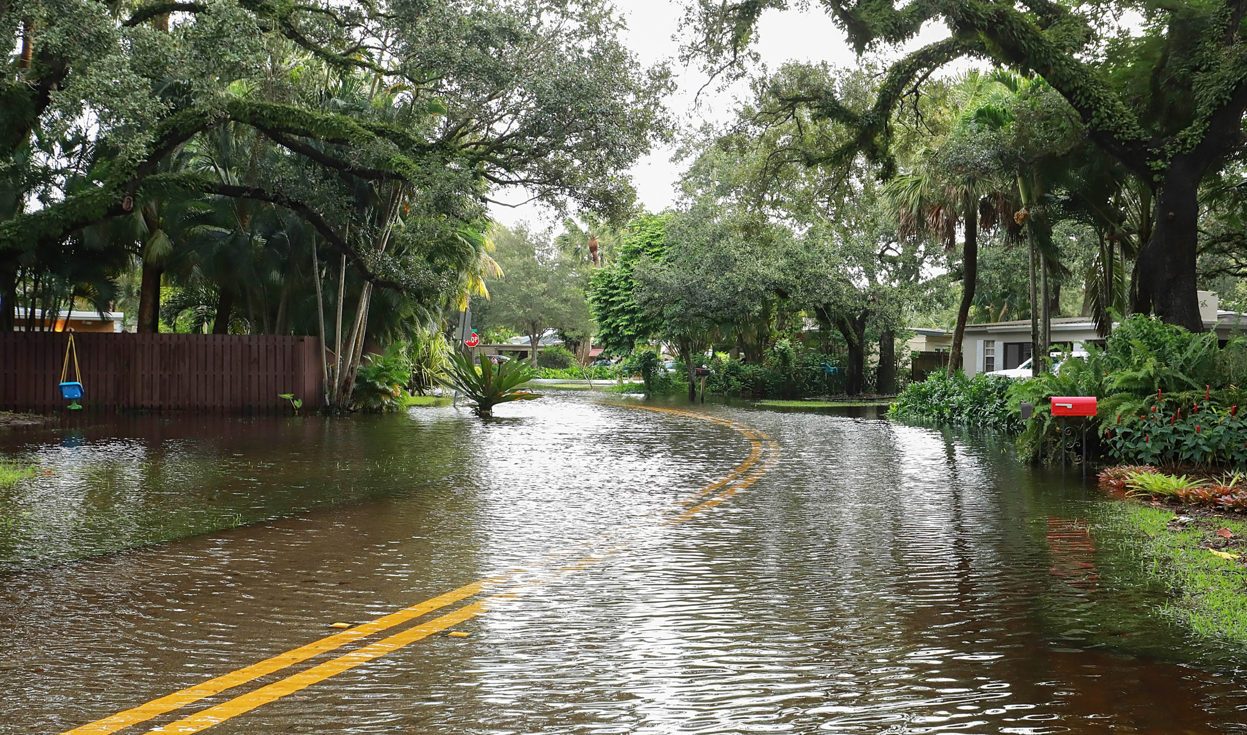 Water from Tropical Storm Eta flooded a street in Fort Lauderdale, Florida, in 2020.