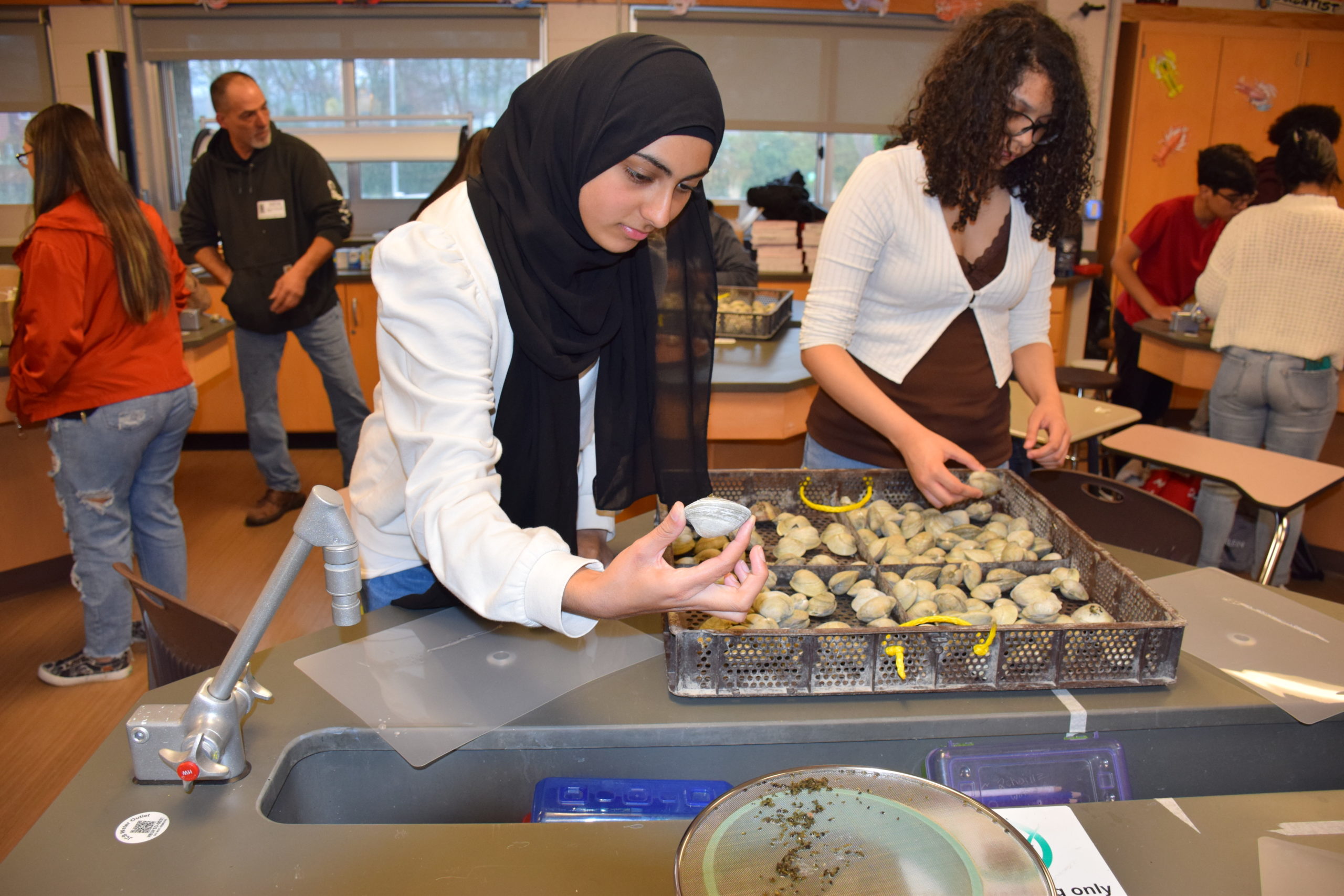 Hampton Bays High School students assisted Save Environmental on March 24 by gluing hundreds of eelgrass seeds onto hard clams.