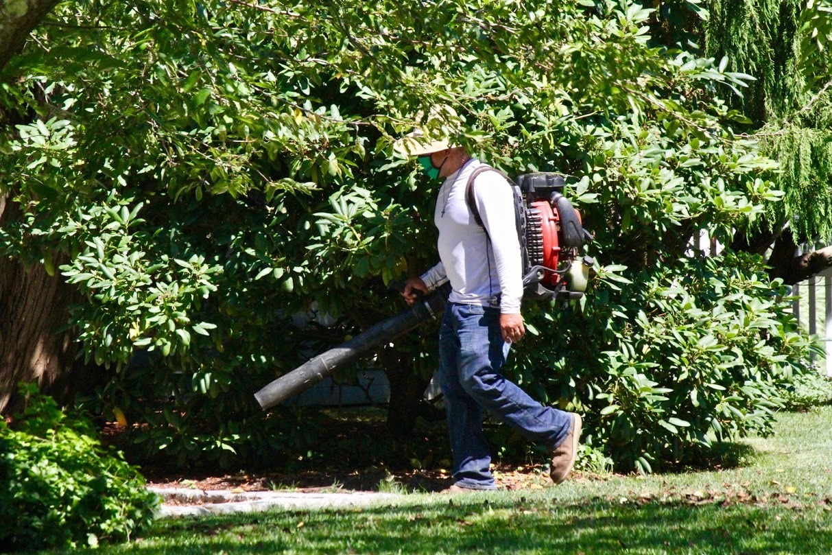 The Southampton Town Board approved a summertime ban on gas-powered leaf blowers.