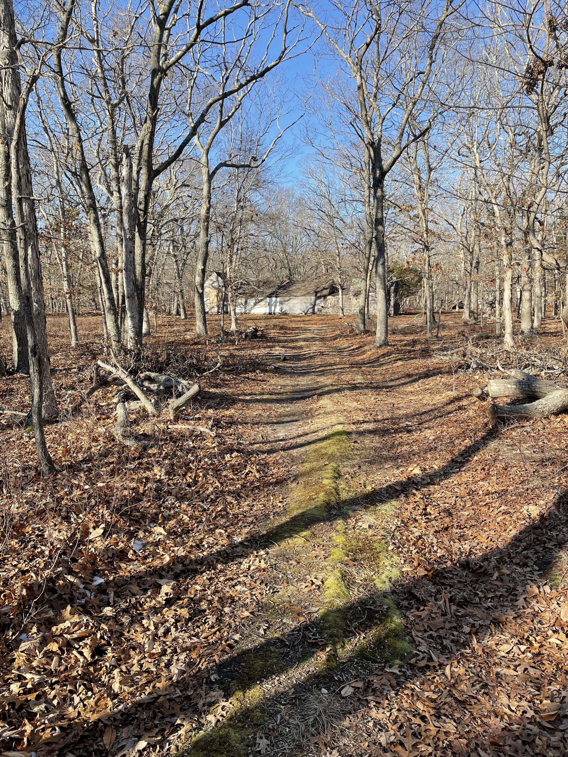 The path connecting the house, pictured, and the studio where artists James Brooks and Charlotte Park once lived and worked in Springs. BRYAN BOYHAN