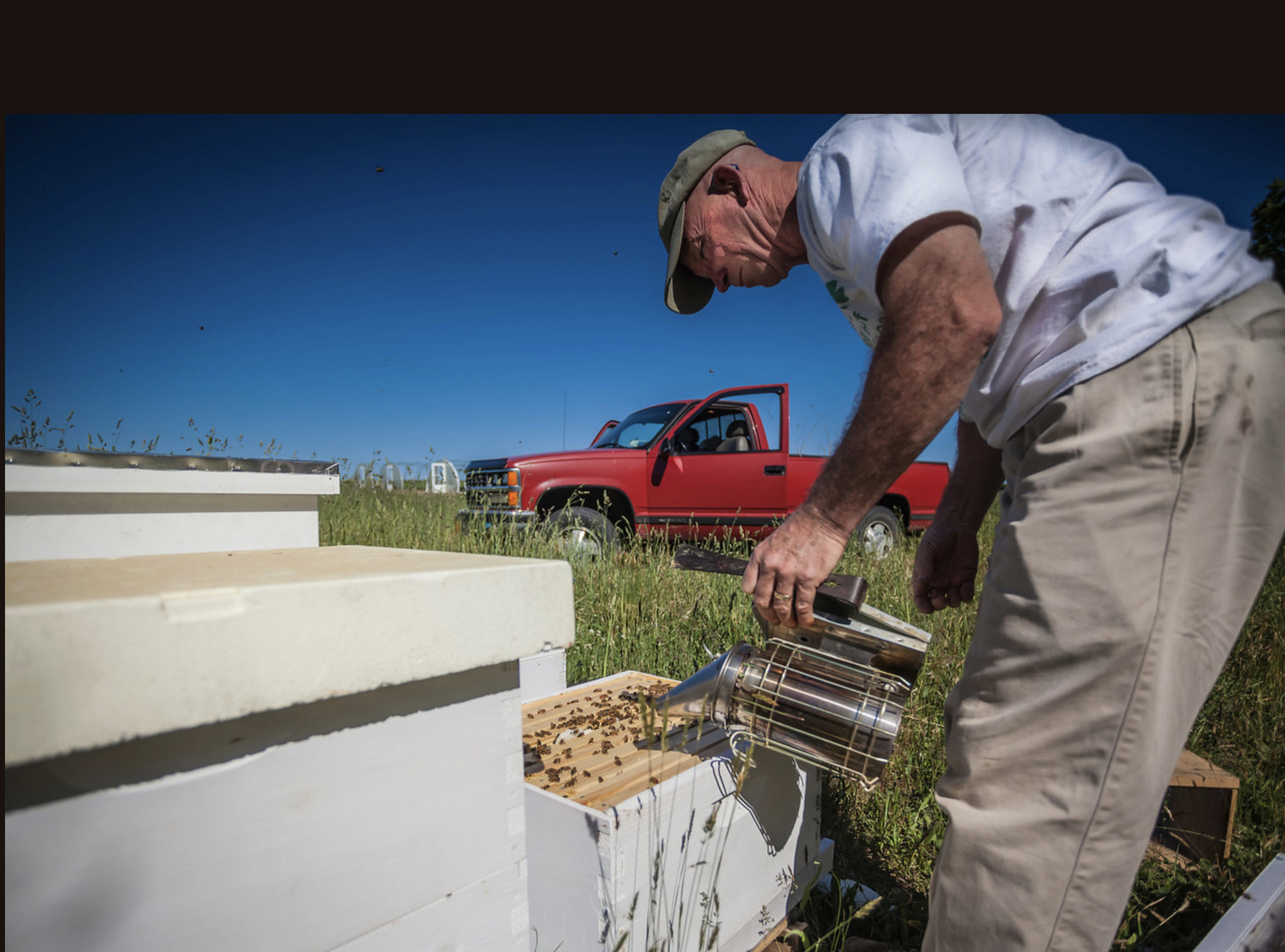 Chris Kelly checking on one of his hives. IAN VORSTER