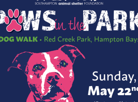 Paws in the Park