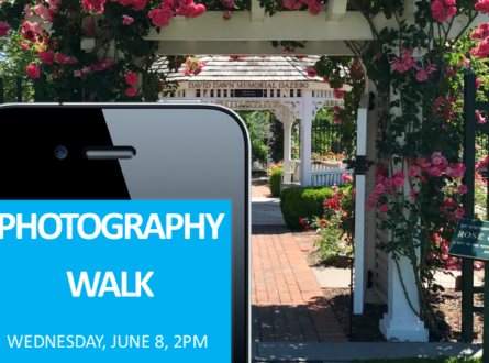 Digital Photography Walk (In person)
