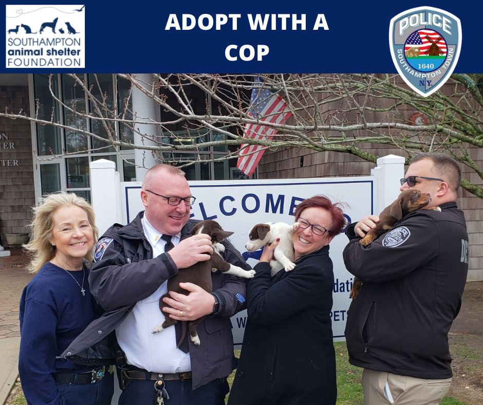From left, Southampton Town Animal Shelter Foundation Executive Director Patricia Deshong, Southampton Town Police Lieutenant Howie Kalb, Southampton Town Police Lieutenant Sue Ralph, and Southampton Town Police Detective Tim Wilson. NICOLE TUMILOWICZ