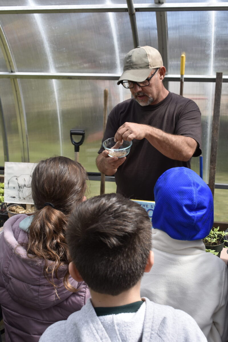 Renato Stafford shows tomato seeds to Westhampton Beach Elementary School students inside the school greenhouse.
