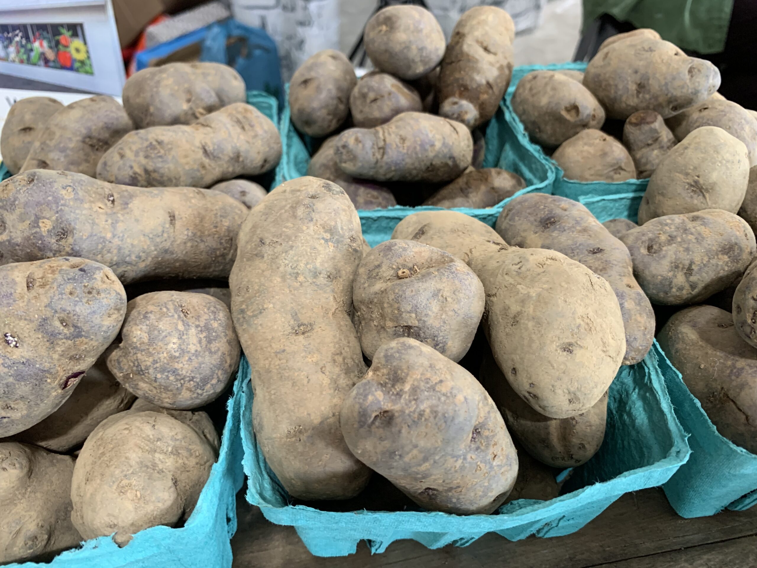 Marilee Foster’s potatoes at a recent East End Food Market. COURTESY STACYDERMONT.COM