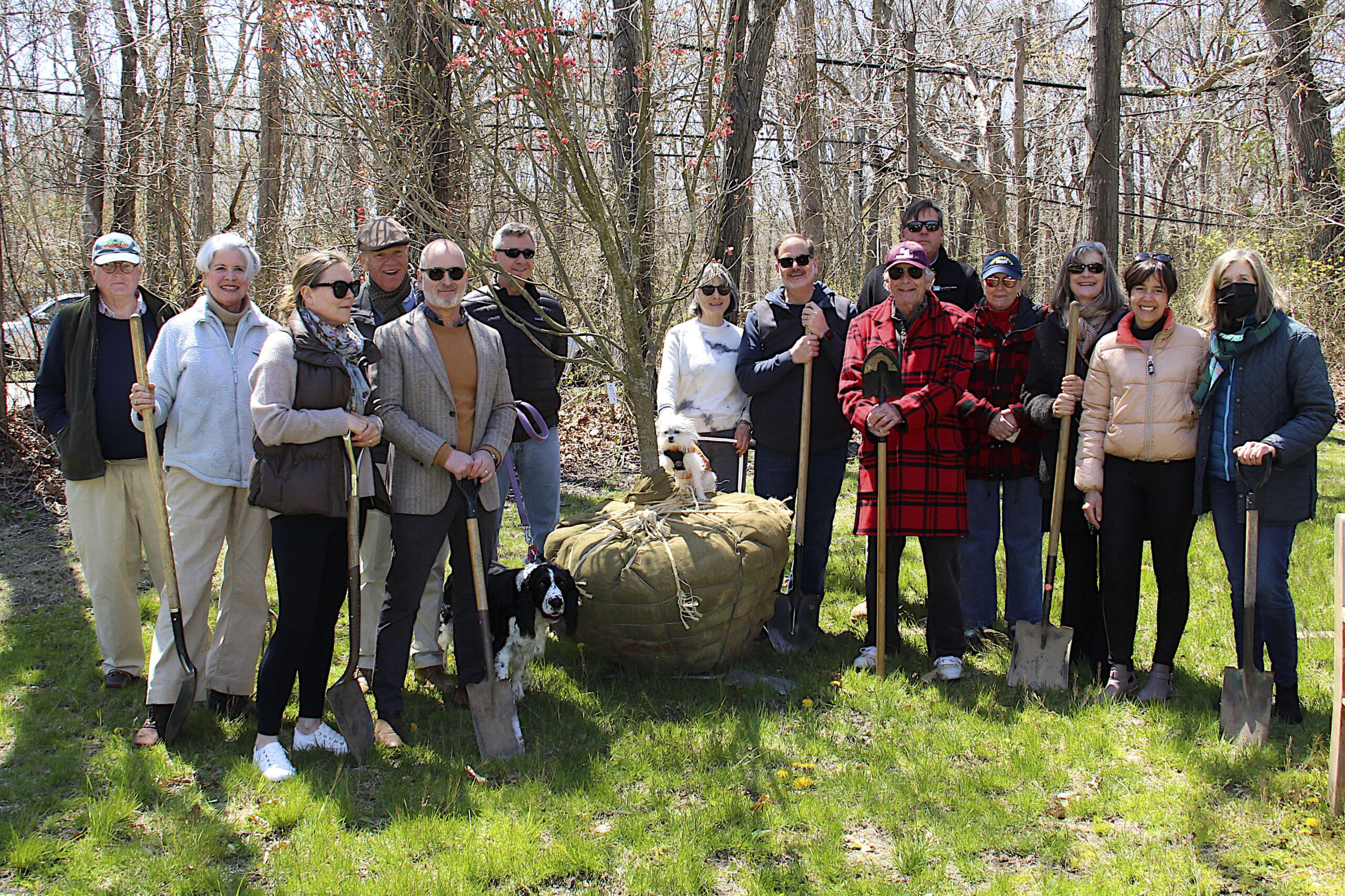 Members of the Wainscott Tree Society presided over the planting of a dogwood tree at Wainscott Green Friday. The tree was donated by Michael Derrig of Landscape Detail, whose workers planted the tree following the ceremony.    KYRIL BROMLEY