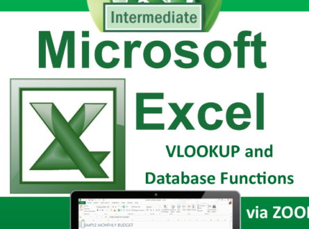 Intermediate Excel: VLOOKUP and Database Functions (Zoom)