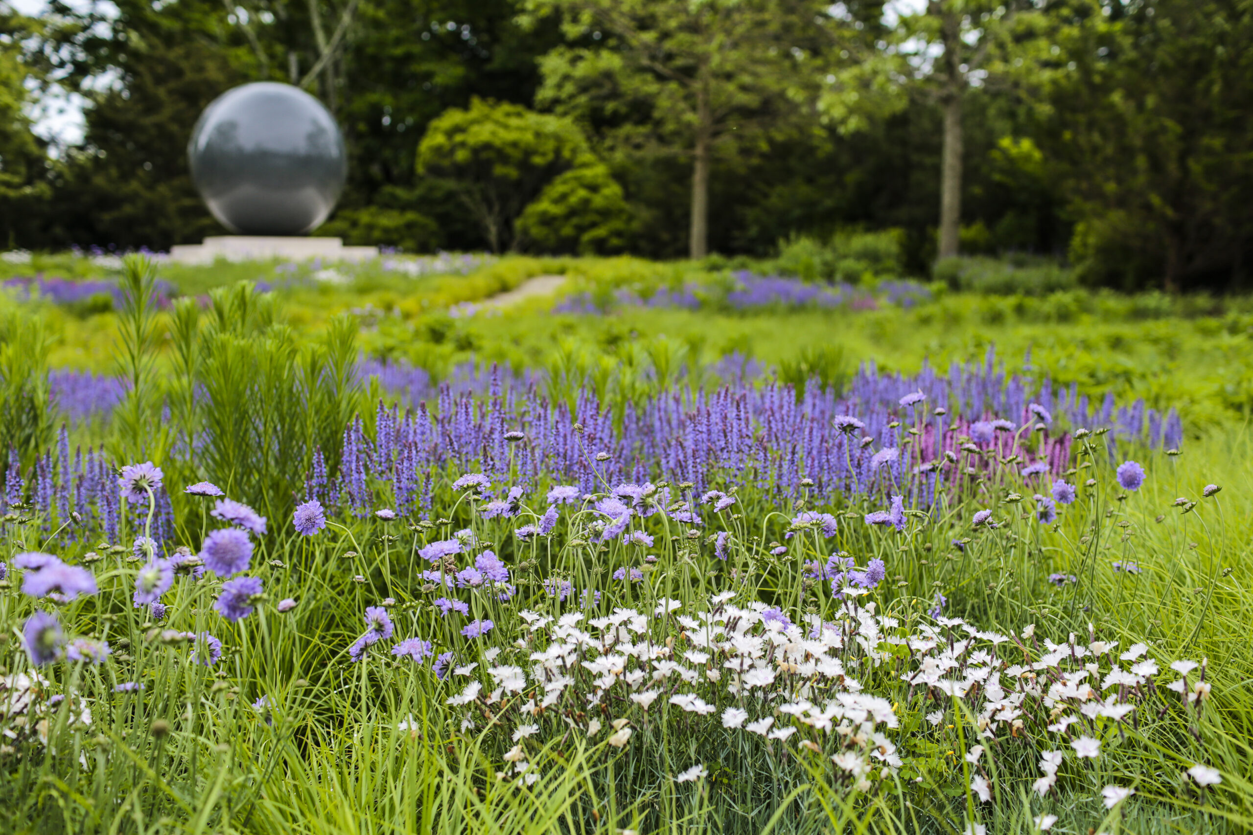 A private Bridgehampton sculpture garden by  Christopher LaGuardia will open to the public for a Garden Conservancy Garden Masters tour on June 18. 
 ERIC STRIFFLER/COURTESY LAGUARDIA DESIGN GROUP