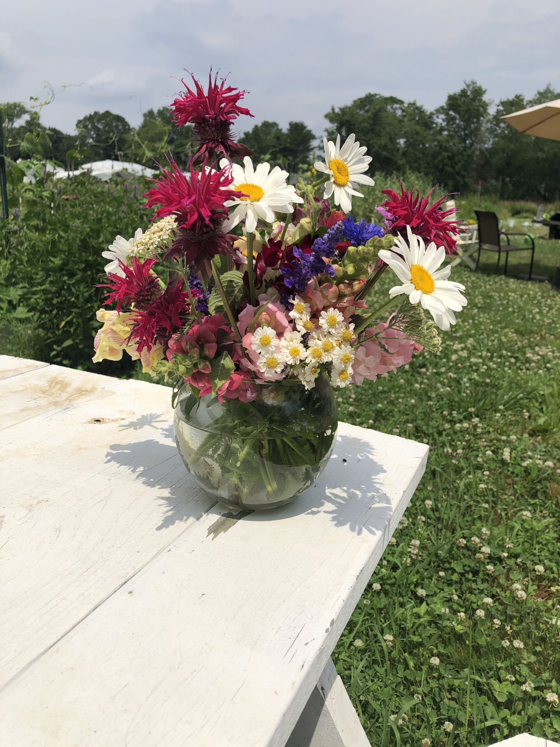Growing native flowers from seed is a great way to lower carbon emissions generated in transport. Just recycle a paper coffee cup, add dirt and the seed and put it in the window. CINDY WARNE