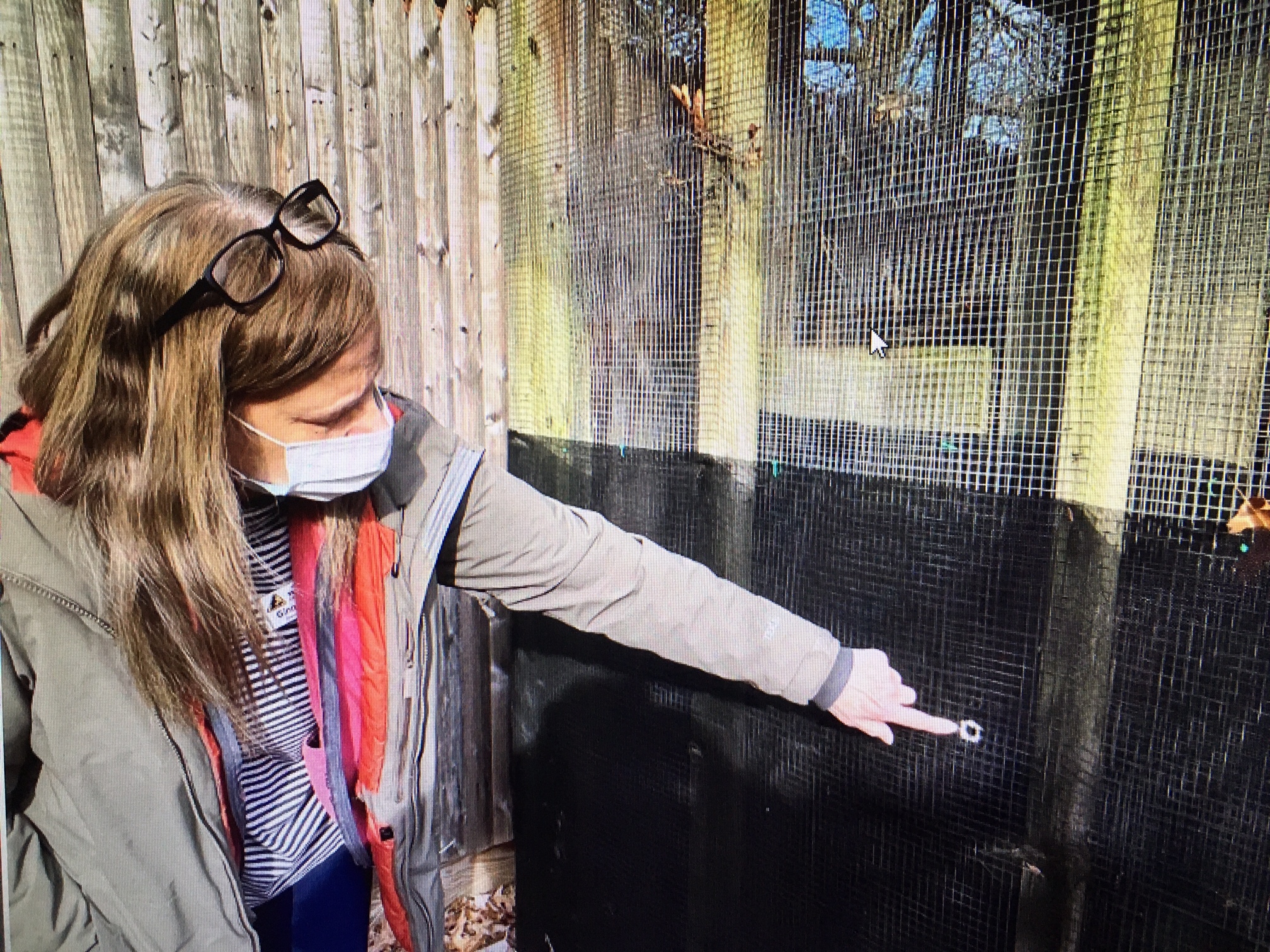 Evelyn Alexander Wildlife Rescue Center executive director Ginnie Frati pointed out bullet holes in an enclosure after the January shooting.    DANA SHAW