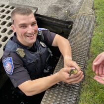 Officer Kyle McGuinness with one of the rescued ducklings.