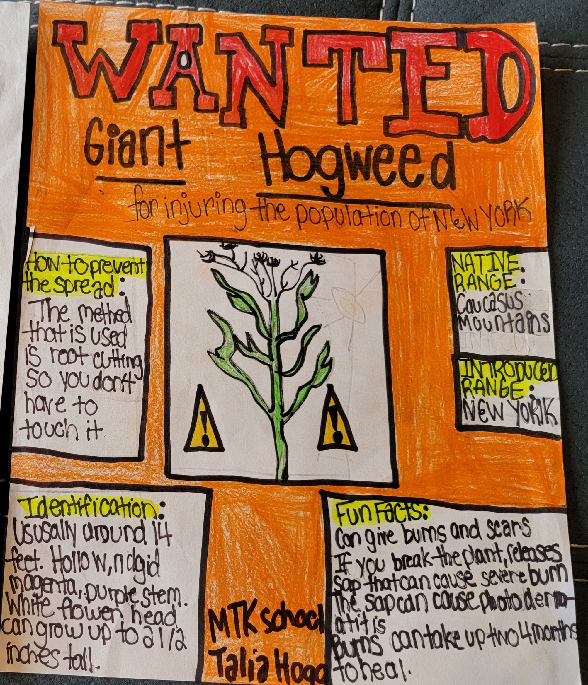 The winning poster by Montauk School sixth0grader Talia Hogg.