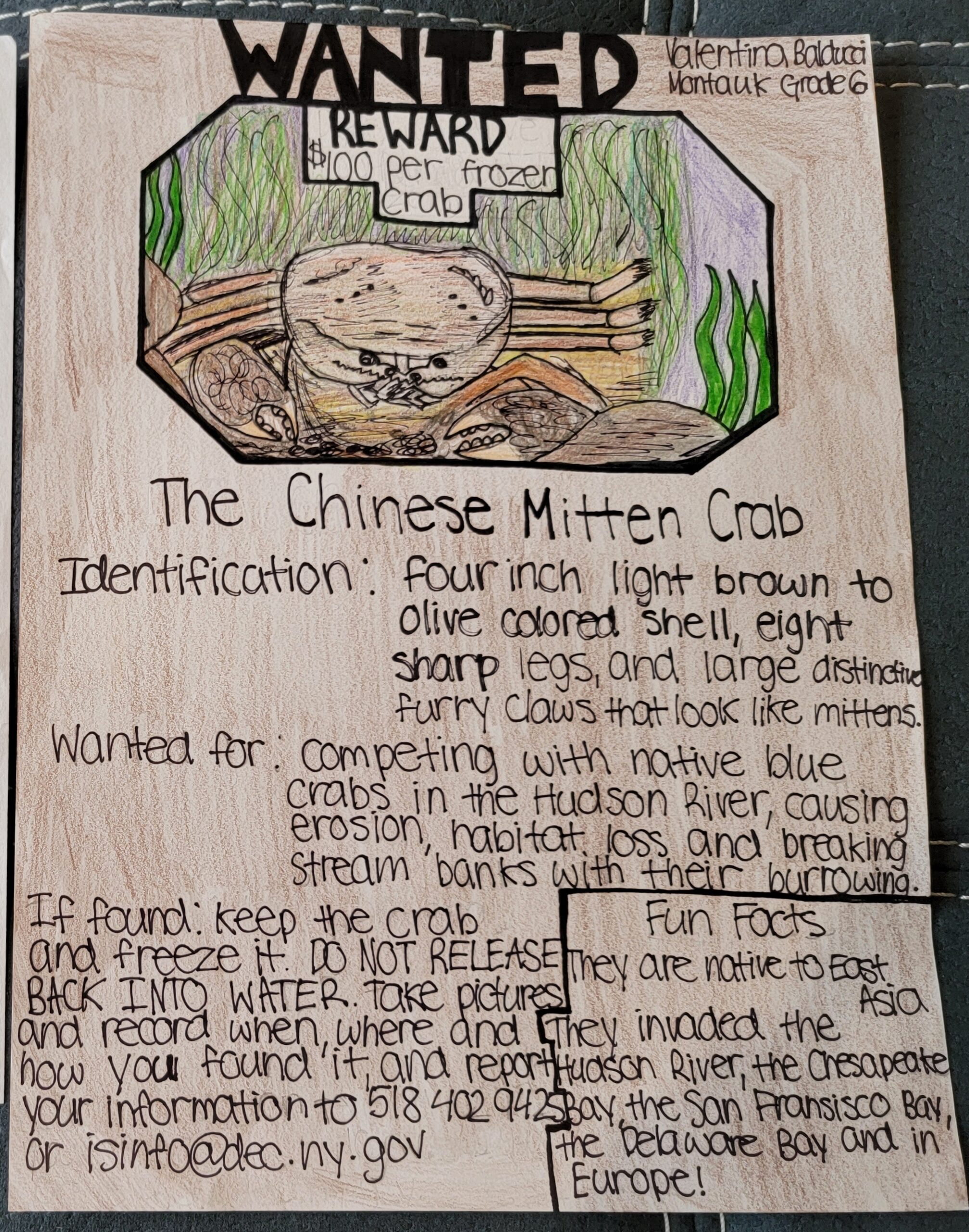 The winning poster by Montauk School sixth-grader Valentina Balducci.