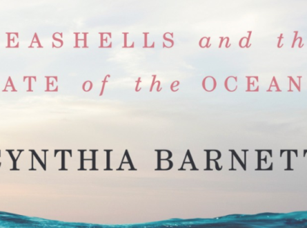 Author Talk: Cynthia Barnett “The Sound of the Sea”