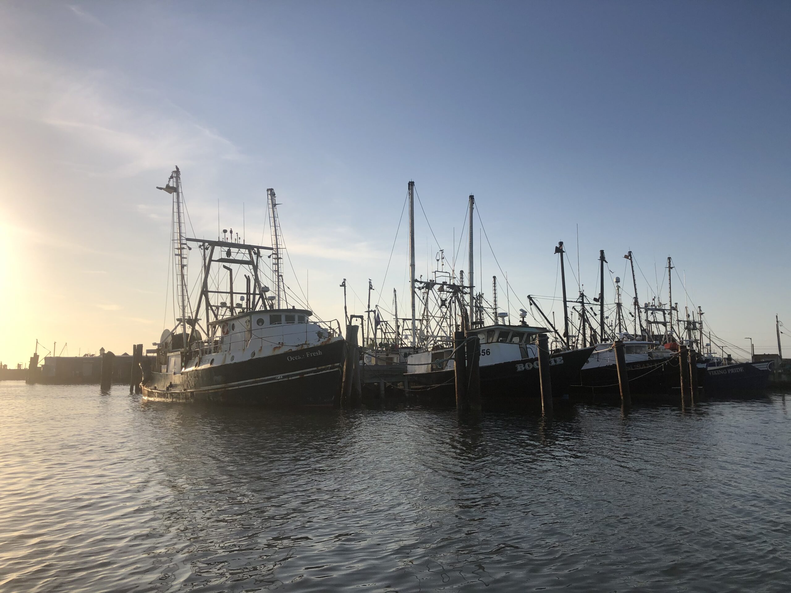 Many boats from the Shinnecock Inlet commercial fishing fleet harvest squid, tilefish and other marine species from the waters above the Hudson Canyon. Fishermen worry that designating the canyon a national marine sanctuary could lead to banning commercial fishing there, though the nomination has not proposed doing so.