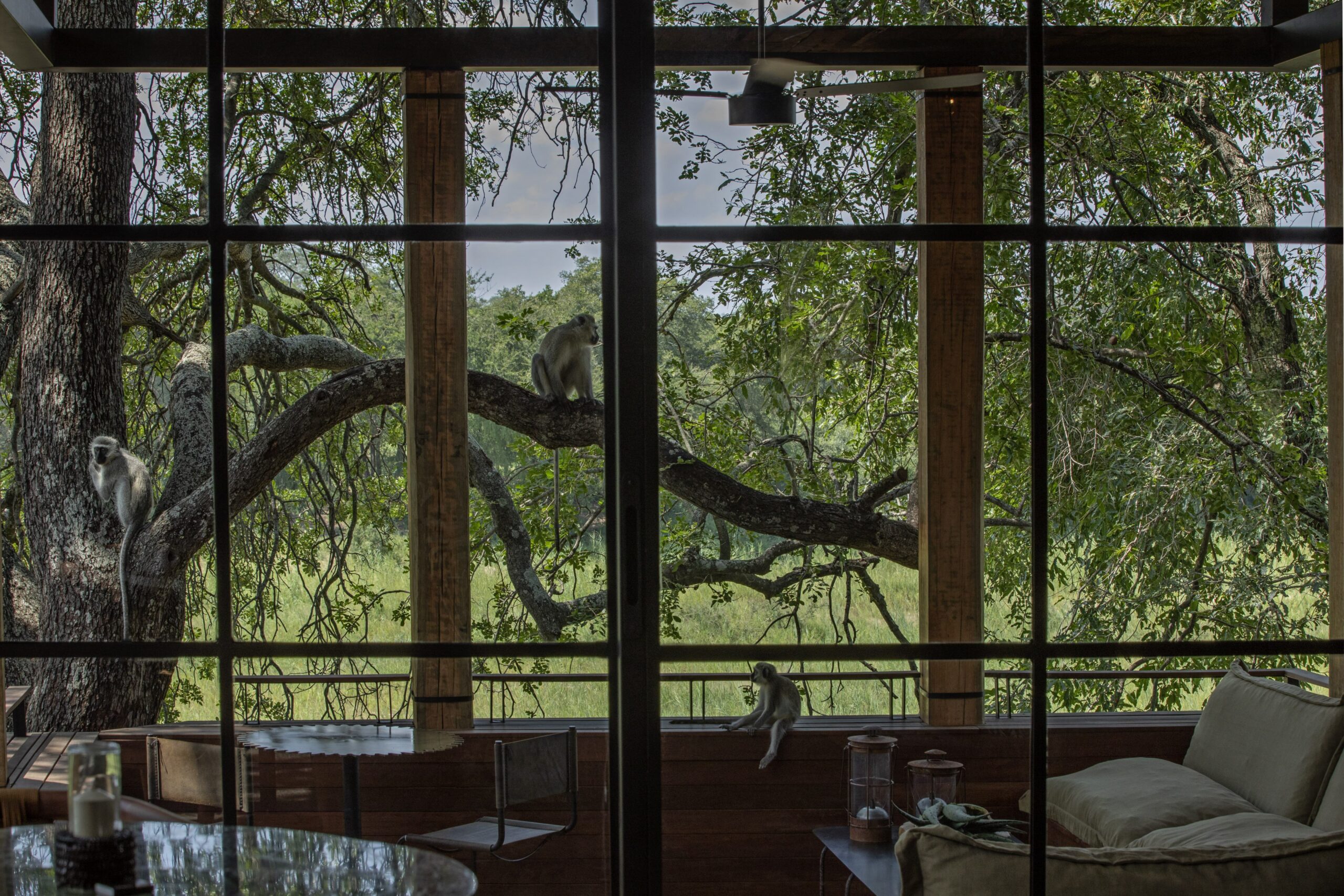Tengile River Lodge, South Africa, from Melissa Briggs Bradley's book 