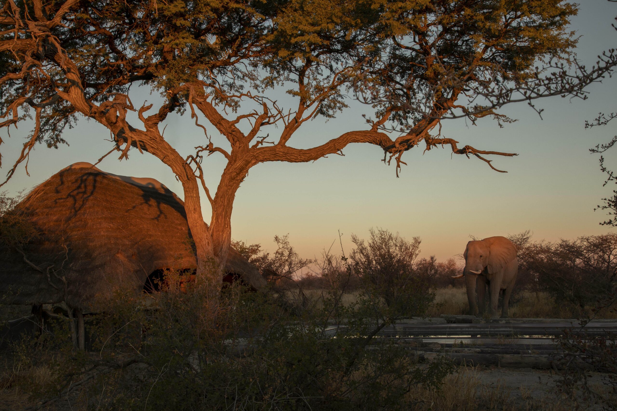Camp Kalahari, Botswana from Melissa Briggs Bradley's book 
