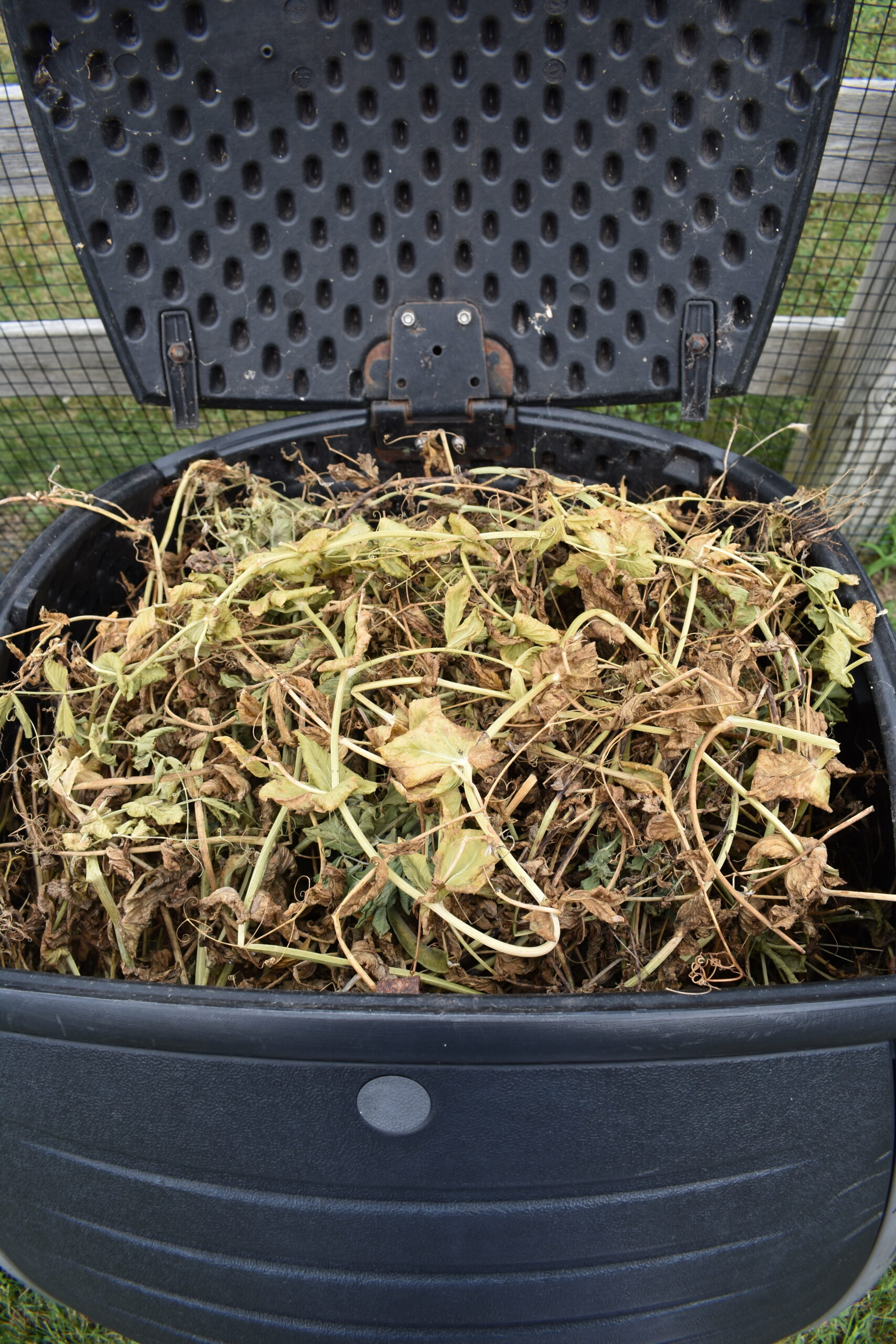 Fall leaves, weeds, spent plants and more yard debris can be added to compost bins rather than sent to a landfill.  BRENDAN J. O'REILLY
