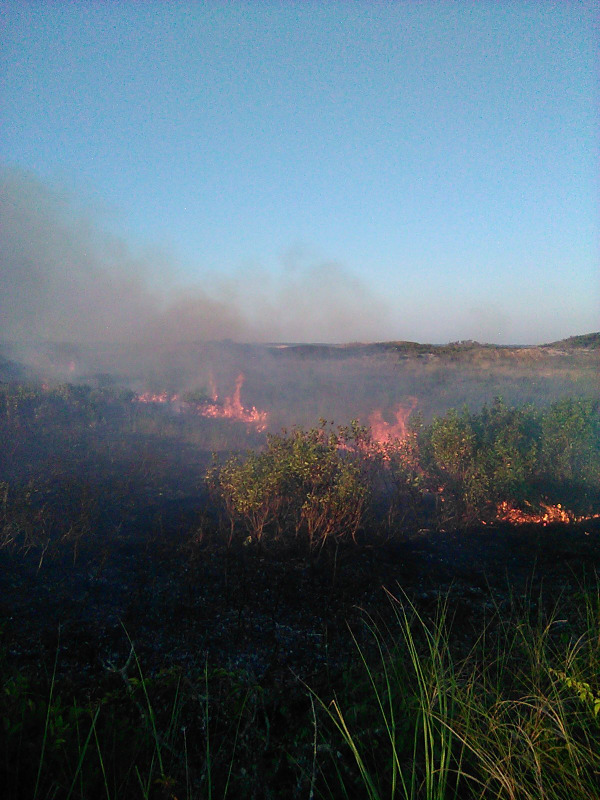 A large brush fire burns in the dunelands of Napeague on Friday night. DAN LOOS