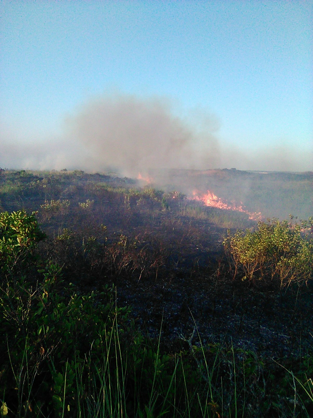 A large brush fire burns in the dunelands of Napeague on Friday night. DAN LOOS