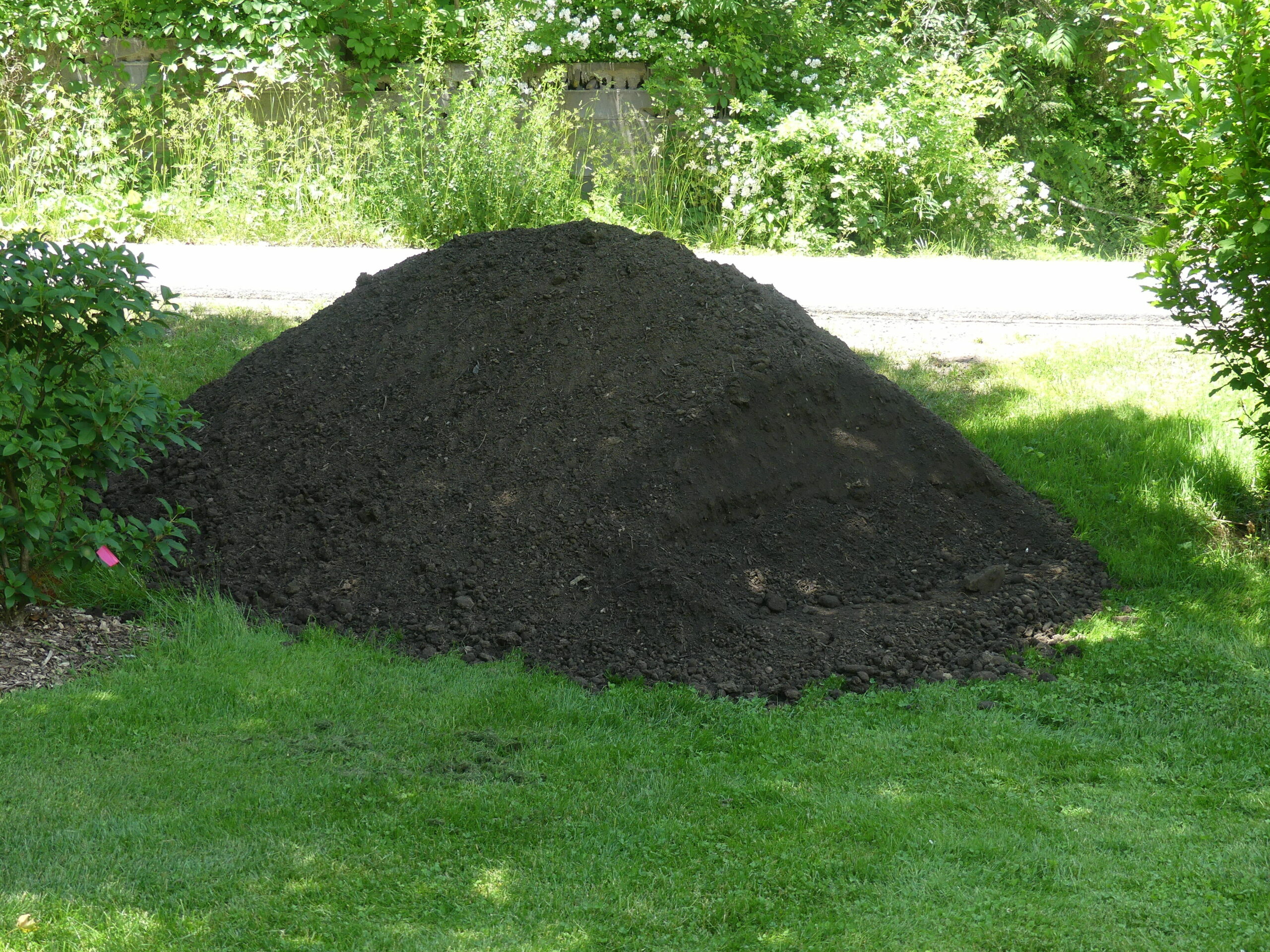 The top soil/mushroom compost blend (4 cubic yards) dropped about 60 feet from the new garden. The material now needs to be moved into place.  ANDREW MESSINGER