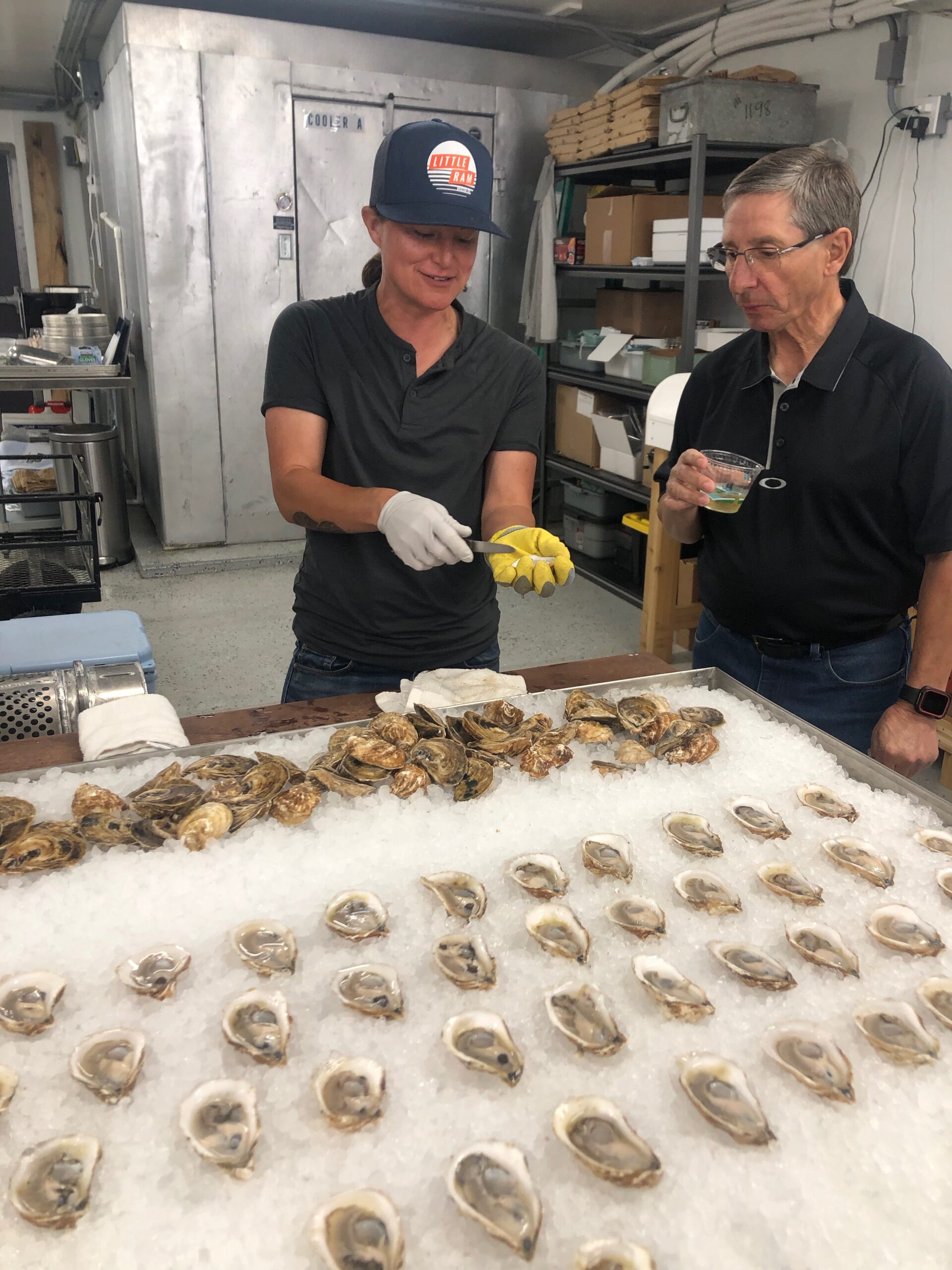 Stefanie Bassett of Little Ram Oysters gives a tour and tasting. These oysters are grown off Shelter Island where the strong current and salinity give them a crisp, briny taste. JENNY NOBLE