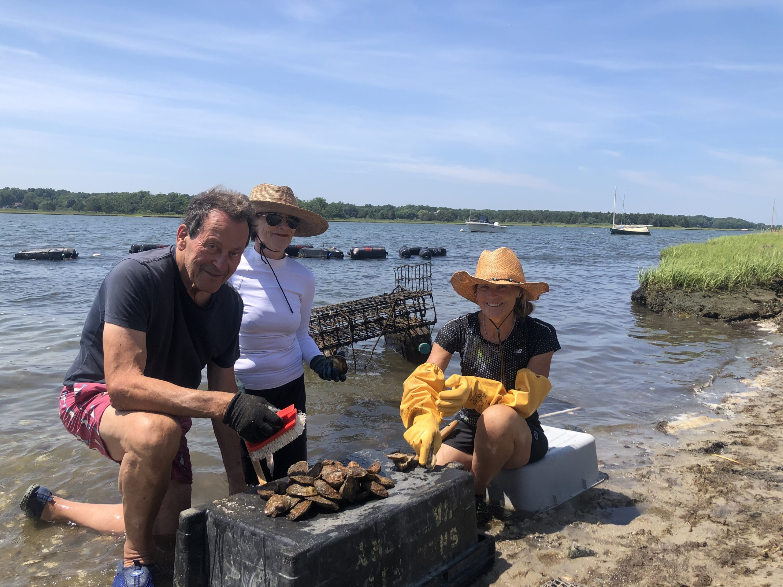 Oyster gardeners Geoffrey Drummond, Ginny Edwards and Kathy Green meet up about every three weeks to scrub cages, tend to their oysters and socialize. JENNY NOBLE