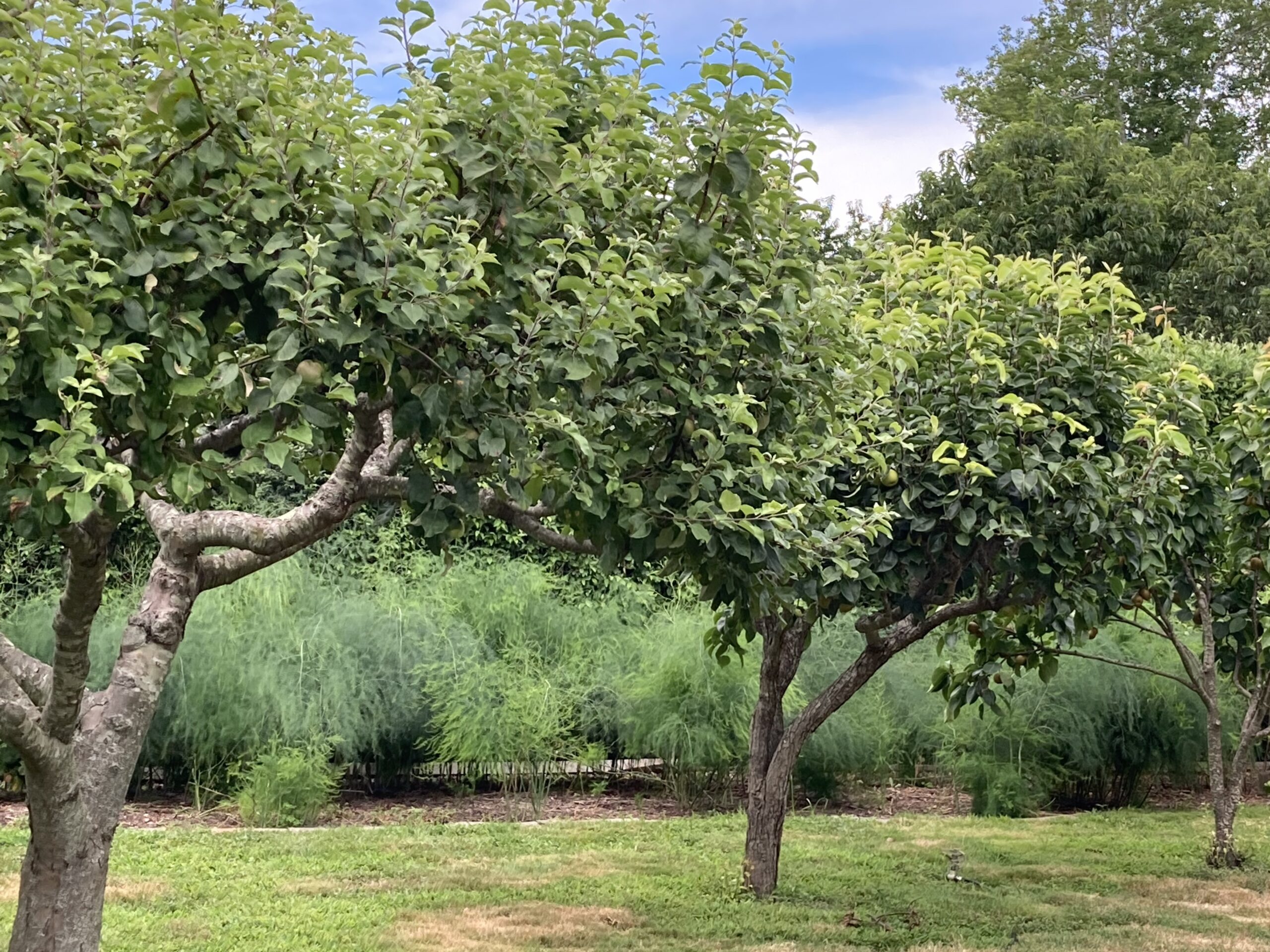 At Home With Sarah Hunnewell And James Ewing 27 East