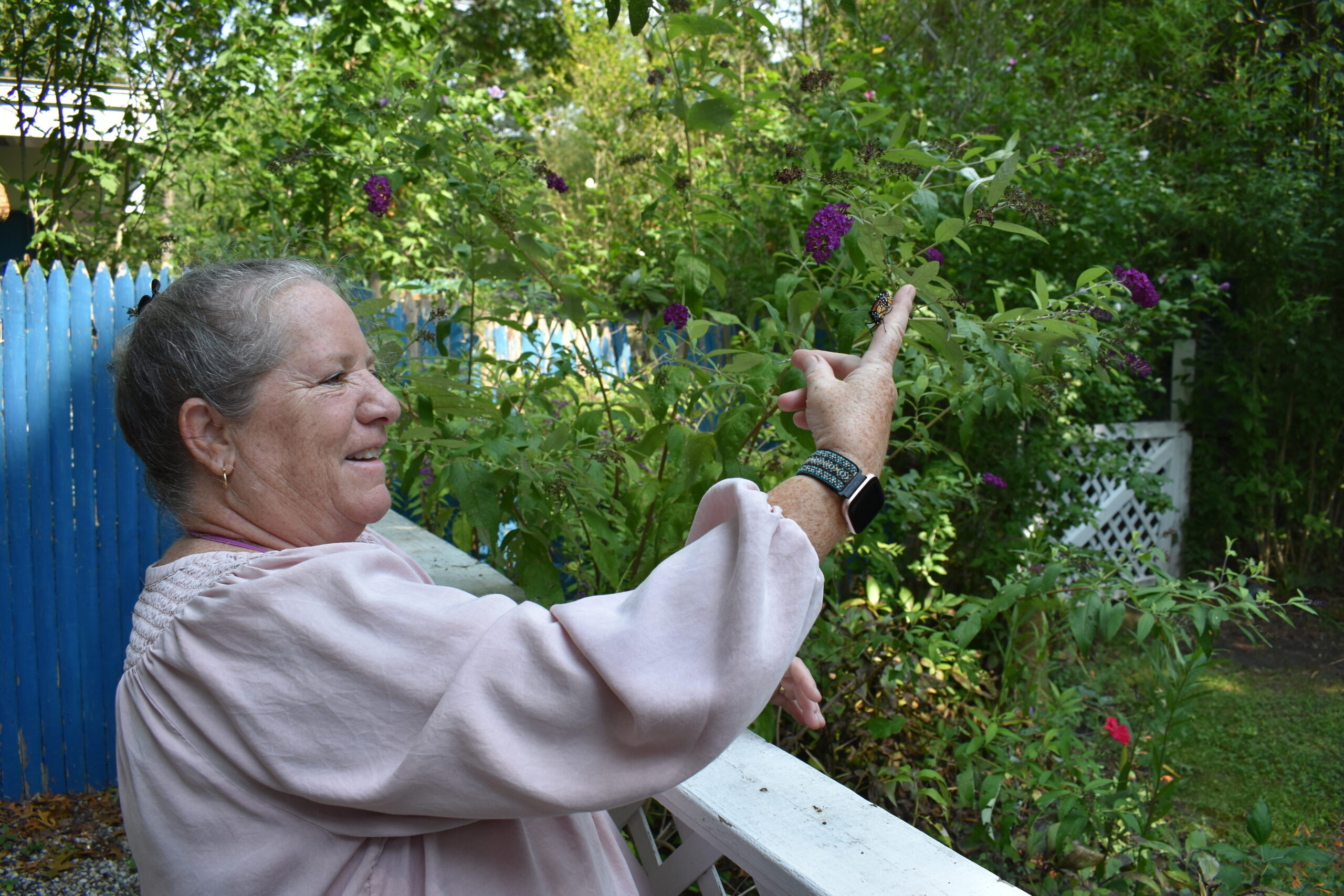 Mary Vienneau releases a monarch butterfly she raised. BRENDAN J. O'REILLY