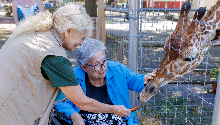 Celebrate Grandparents Day Discount - Long Island Game Farm - 27 East