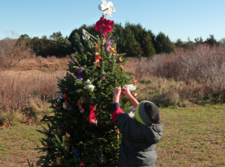 SOFO’s Annual Decorate a Holiday Tree for the Birds