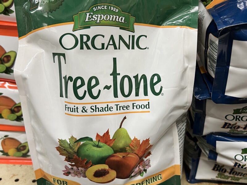 When and How Often To Fertilize Trees 27 East