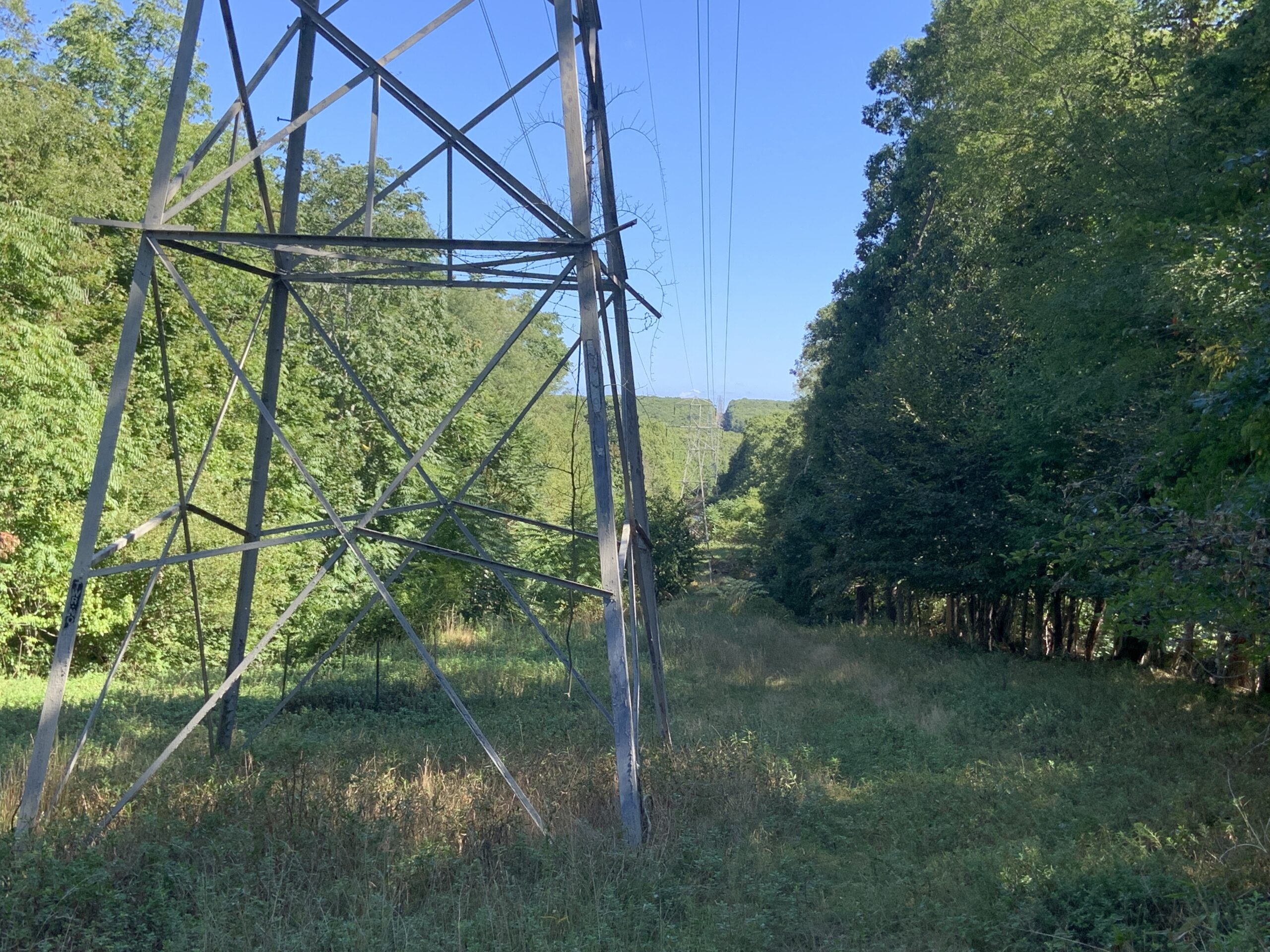 East End environmentalists urged the Long Island Power Authority to abandon plans to run a power cable under its right-of-way through the Long Pond Greenbelt. STEPHEN J. KOTZ