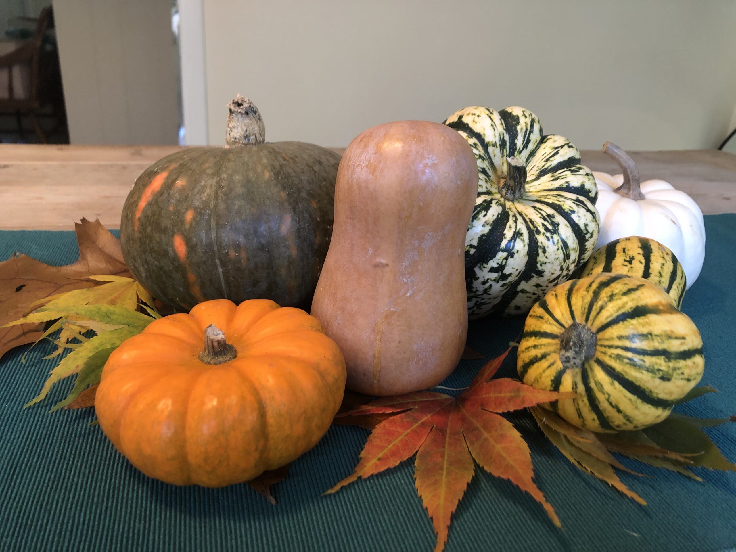 Since all gourds are squash, consider the Thanksgiving centerpiece as part of holiday leftovers. And all seeds (not just pumpkin) can be toasted. JENNY NOBLE