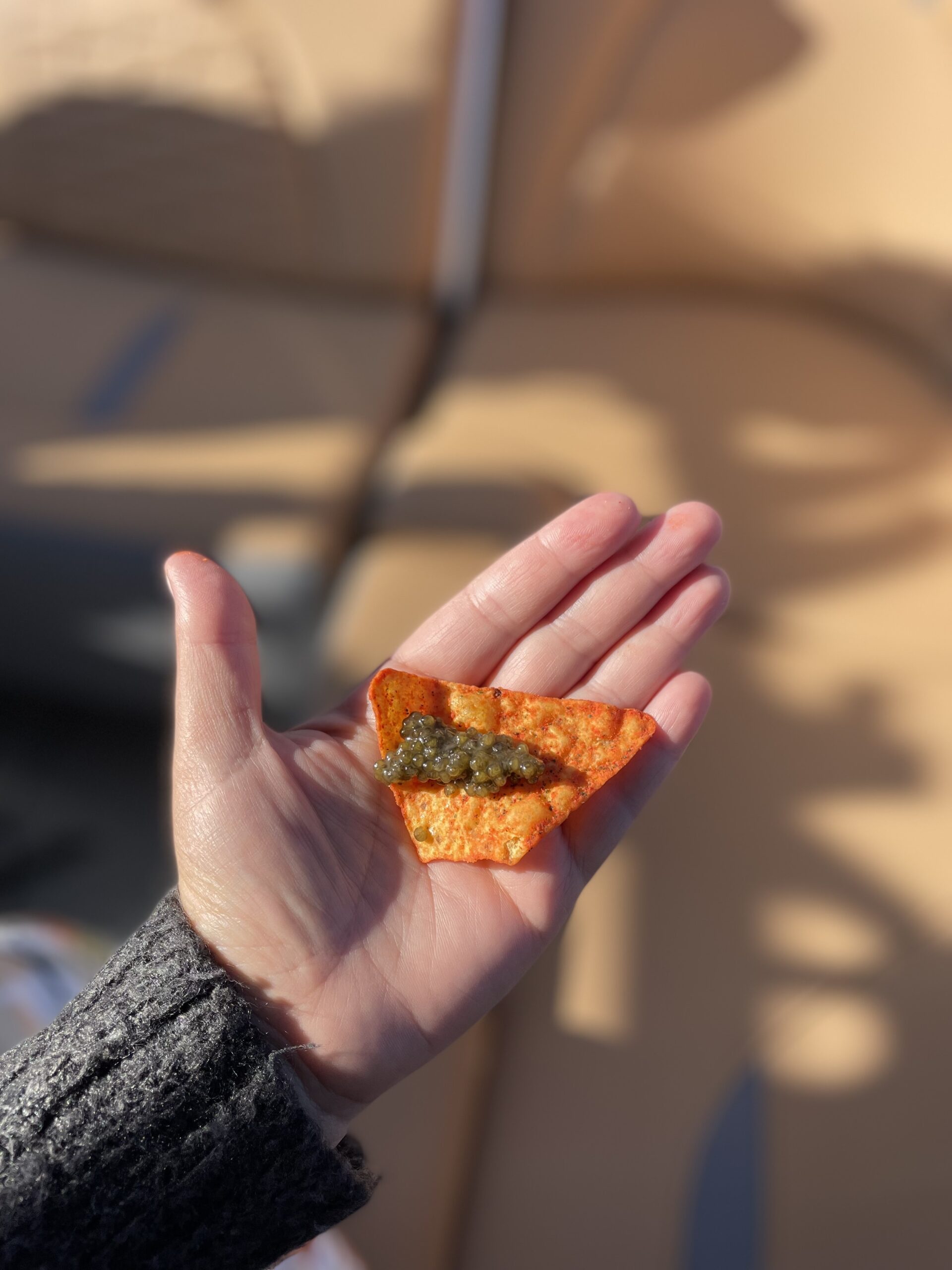 Selinger opted for Doritos to compliment her Prosecco and caviar while enjoying the views of Deer Creek reservoir.