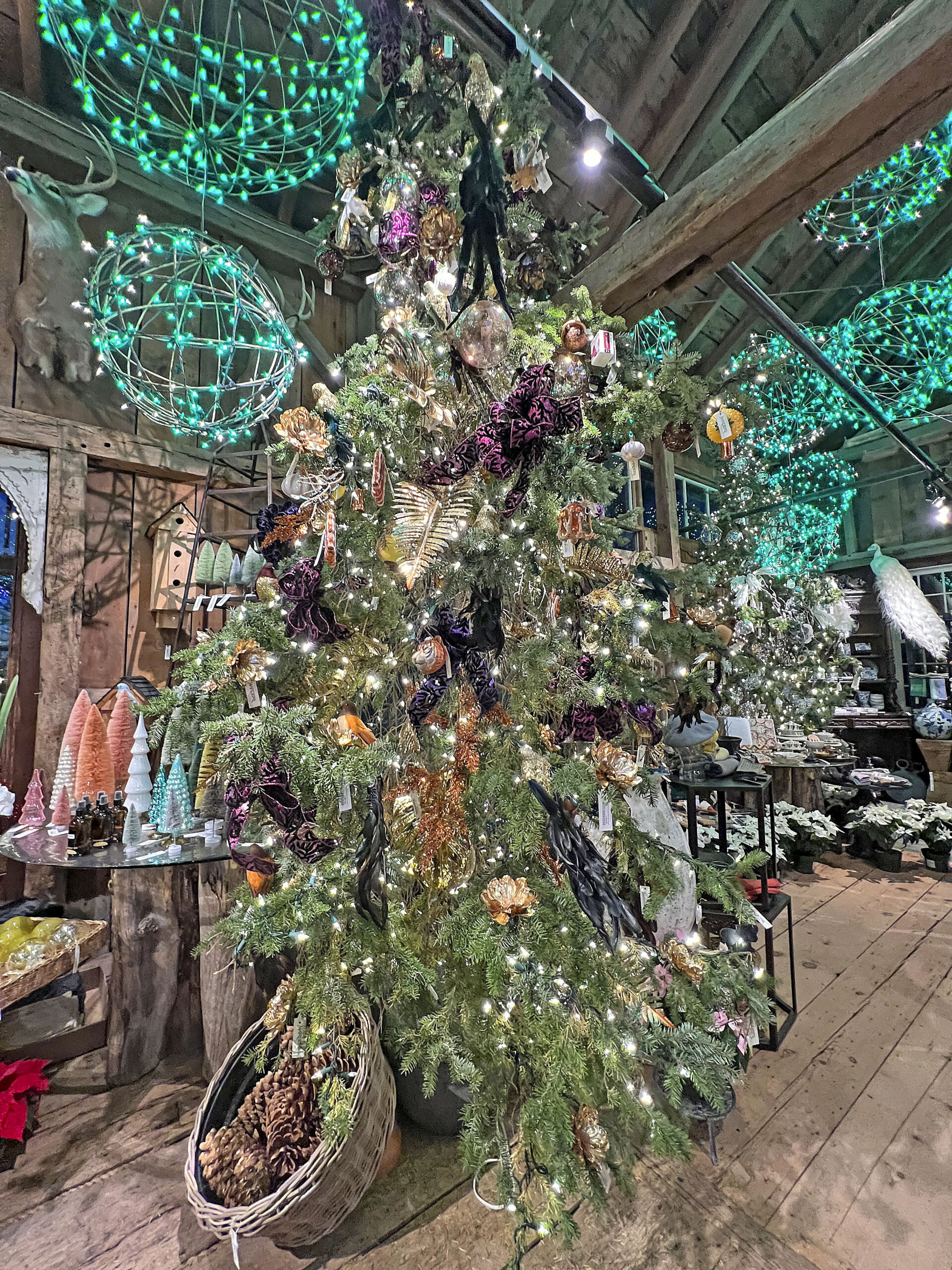 The 2021 Christmas display at Marders Nursery, photographed on November 30th, 2021.  MICHAEL HELLER