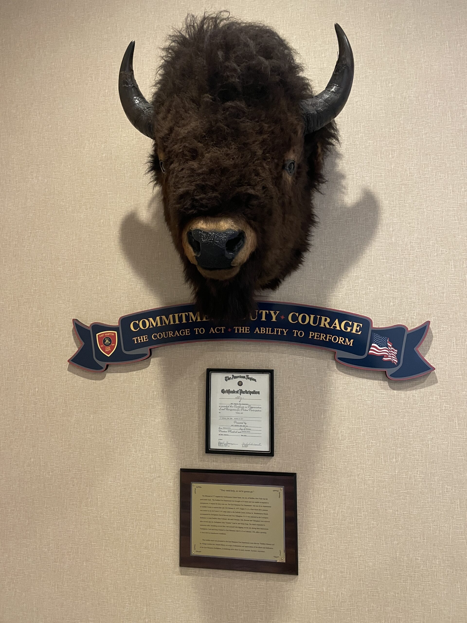 The buffalo head that hangs in the East Hampton Village Emergency Services Building in honor of the local firemen who travels to Buffalo to help the city recover from a historic blizzard.