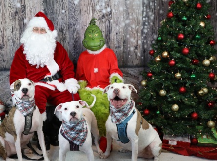 Photos with Santa and the Grinch