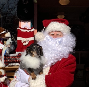 Little Lucy’s Holiday Pooch party!