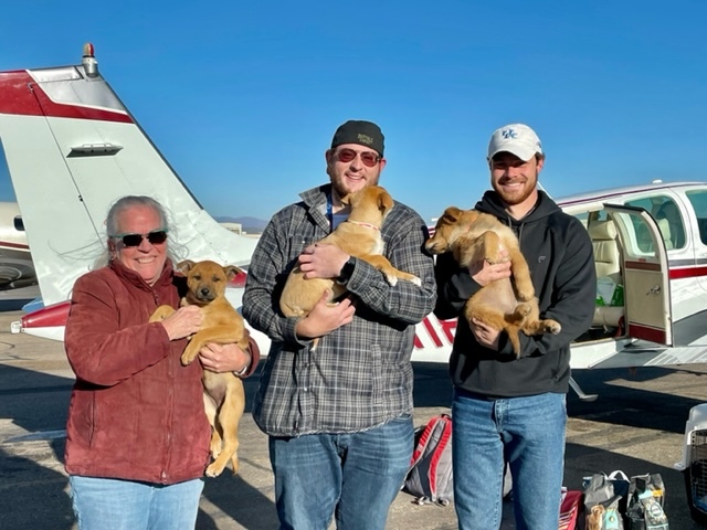 Española Humane foster mom Anne Baker with volunteer pilots Jan Brentjens and Matthew Pellegrino with some of the puppies. COURTESY ANIMAL RESCUE FUND OF THE HAMPTONS