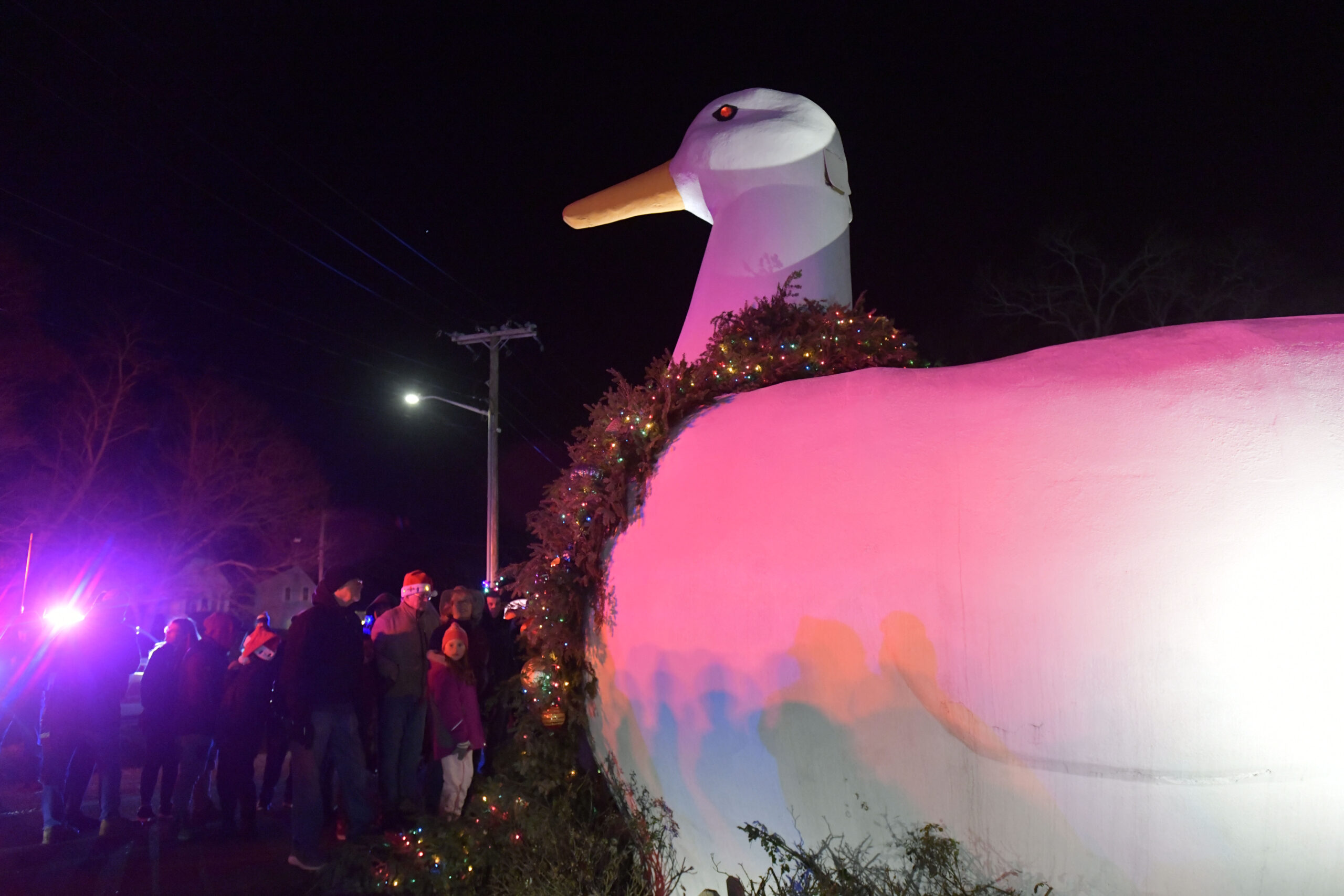 The duck is lighted.