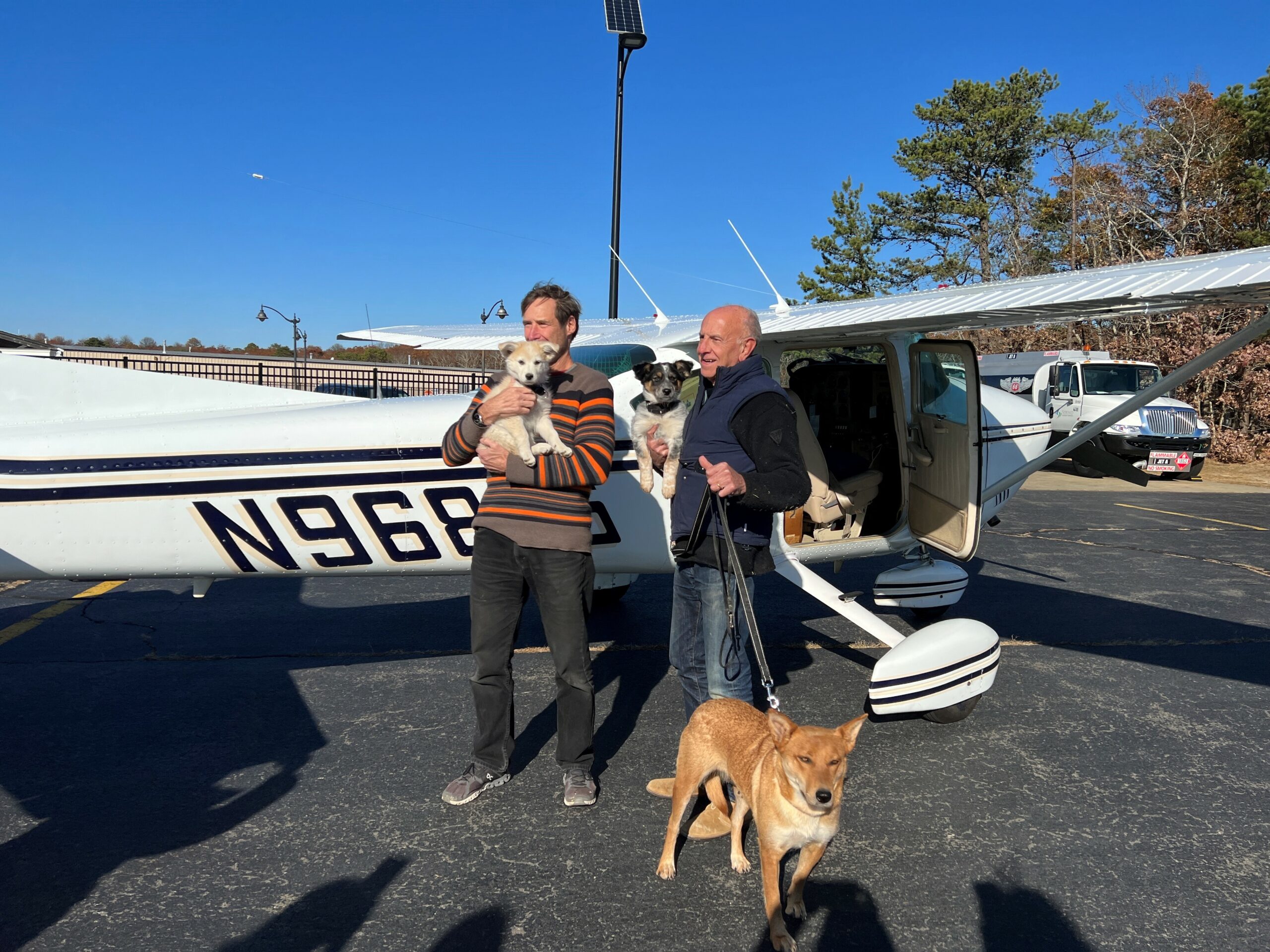 Pilot Dr. George Dempsey holds Biscochito after he and pilot David Reinbach, with Blue Corn in his arms and mom Zia on a leash, arrived safely from New Mexico with the rescued pups. COURTESY ANIMAL RESCUE FUND OF THE HAMPTONS