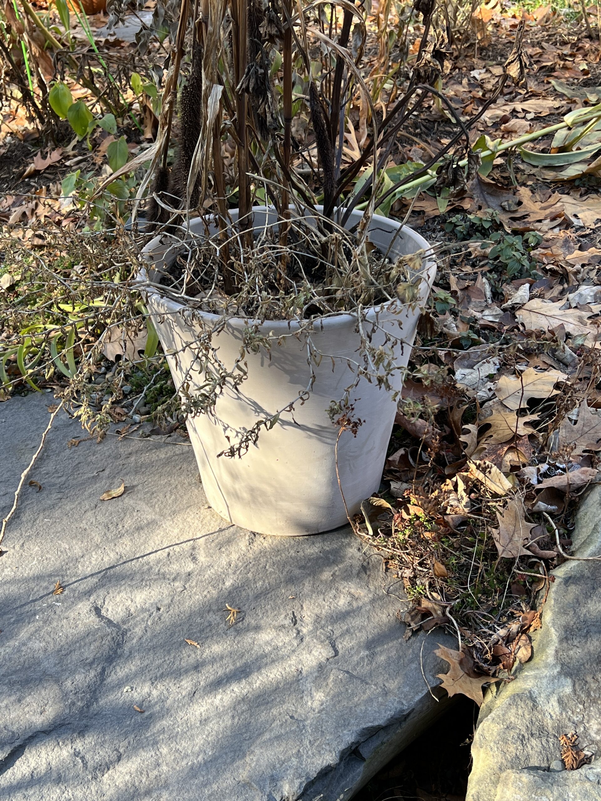 This natural clay pot will not survive the winter. It’s full of soil and one very cold night will cause the soil to expand as it freezes and the pot will split. Simply emptying it, inverting it and setting it on wooden spacers would probably get it through the winter unscathed. ANDREW MESSINGER