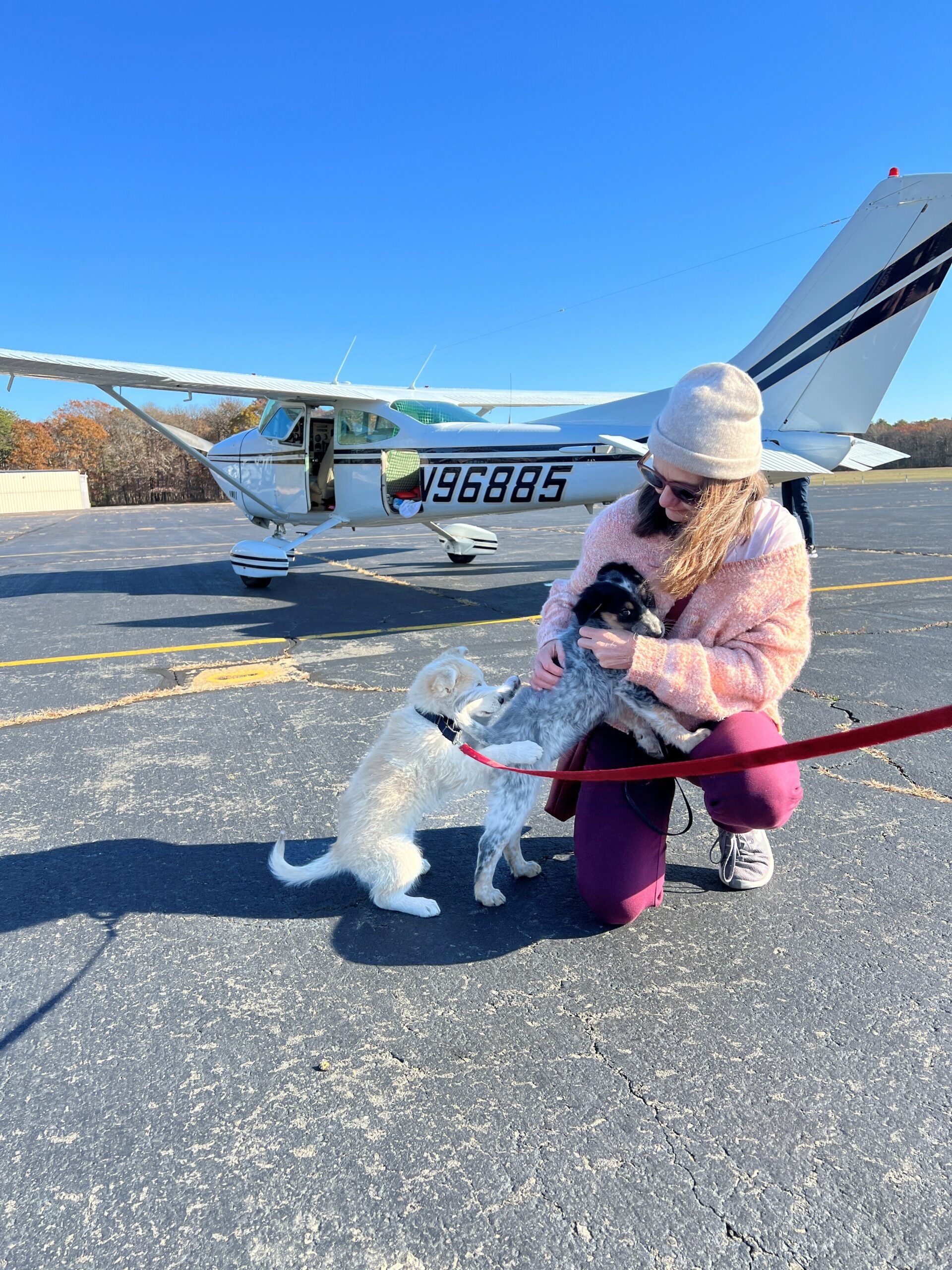 Lauren Dempsey, the wife of pilot Dr. George Dempsey, meets Biscochito and Blue Corn. COURTESY ANIMAL RESCUE FUND OF THE HAMPTONS