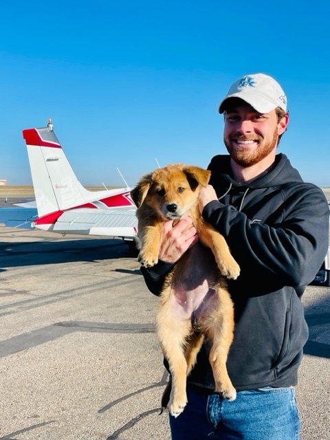 Pilot Matt Pellegrino and a puppy, ready for takeoff. COURTESY ANIMAL RESCUE FUND OF THE HAMPTONS
