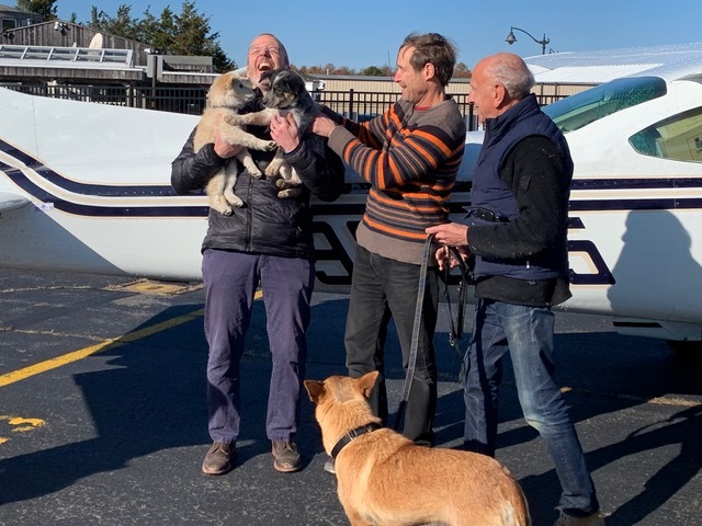 Animal Rescue Fund of the Hamptons Executive Director Scott Howe holds Biscochito and Blue Corn after pilots Dr. George Dempsey, middle, and David Reinbach arrived from New Mexico. LAUREN DEMPSEY
